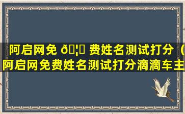 阿启网免 🦍 费姓名测试打分（阿启网免费姓名测试打分滴滴车主）